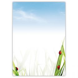 Motivpapier Marienkäfer im Gras DIN A4 – Marienkäfer im frischen Gras setzen kleine rote Farbakzente und wirken freundlich und naturverbunden