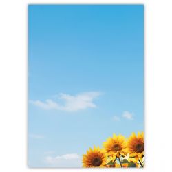 Motivpapier Sonnenblumen DIN A4 – Sonnenblumen unter blauem Himmel wirken sonnig, freundlich und sofort sympathisch