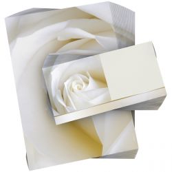 Motivpapier Weiße Rose DIN A4 – Die großformatige weiße Rose wirkt edel, ruhig und besonders hochwertig