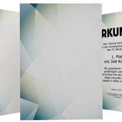 Urkundenpapier DIN A4 190 g/m² beidseitig bedruckt – Motiv Excellent Blue